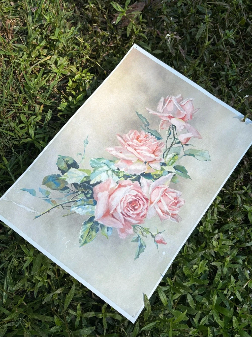 Victorian Rose Print Used !